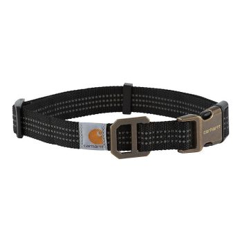 Dog Collar