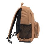 8495BCD6-C9D4-AA99-9B25-89FA7322FA59
