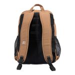 8495BCD6-C9D4-AA99-9B25-89FA7322FA59